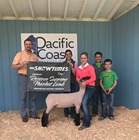 Farao Club Lambs Winners