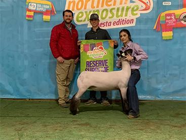 Farao Winners