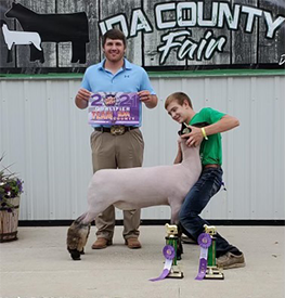 Farao Winners