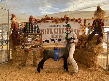 Farao Winners