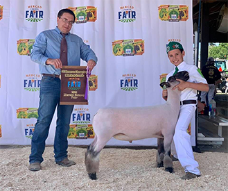 Farao Winners