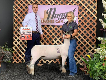 Farao Winners