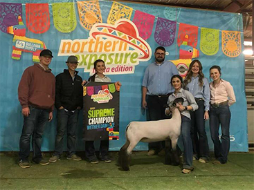 Farao Winners