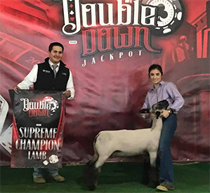 Farao Winners