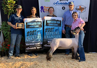Farao Winners