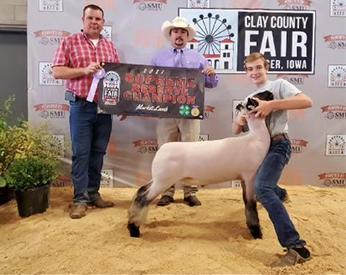 Farao Winners