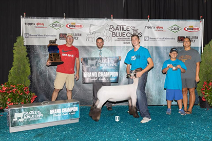 Farao Club Lambs Winners