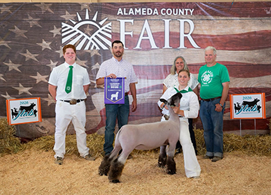 Reserve Champion 4-H Market Lamb
Alameda County