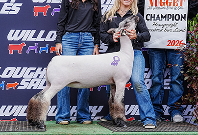 Champion Heavyweight Crossbred Ewe
All-American Nugget Show & Sale