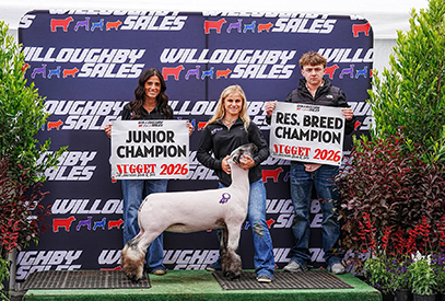 Reserve Champion Hampshire Ewe
All-American Nugget Show & Sale