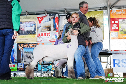 Grand Champion Wether Sire
All-American Nugget Show & Sale