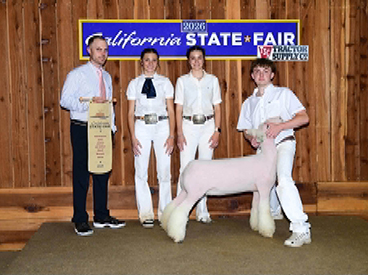 Champion Whiteface
California State Fair