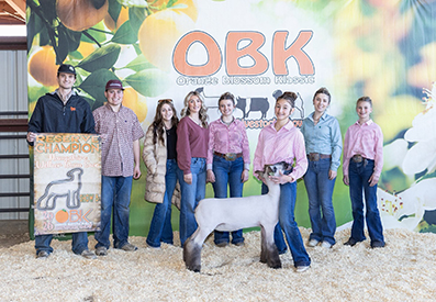Reserve Champion Hampshire - Show B
Orange Blossom Klassic