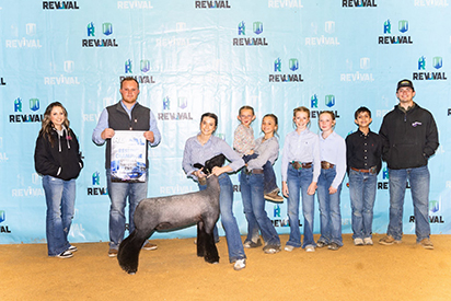 Reserve Champion Natural Ewe - Show B
3rd Overall Natural Ewe - Show A
Revival